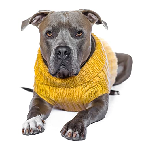 Zoo Snoods Yellow Sweater for Dogs and Cats Warm Jacket Medium