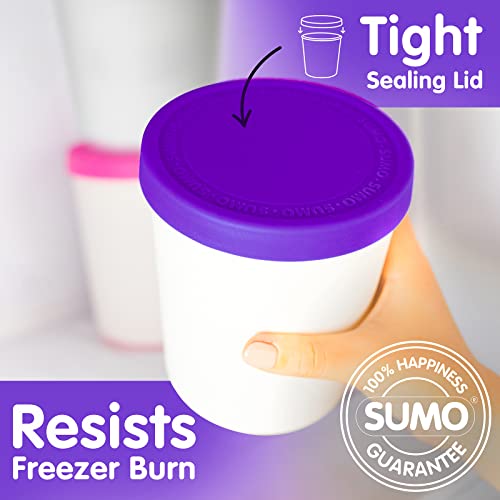 SUMO 5 Pack Ice Cream Containers for Homemade Ice Cream 5 Containers Multicolor