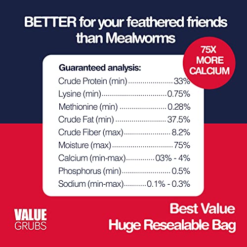 Value Grubs 4 Lbs Better Than Dried Mealworms for Chickens Than Meal Worms