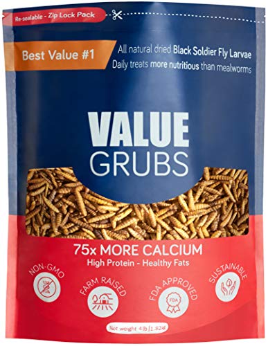 Value Grubs 4 Lbs Better Than Dried Mealworms for Chickens Than Meal Worms