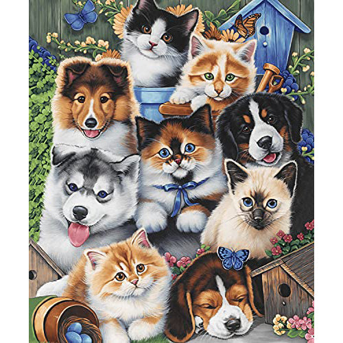 Dawhud Direct Puppies and Kitten Fleece Blanket 50x60 Inch Throw for Bed